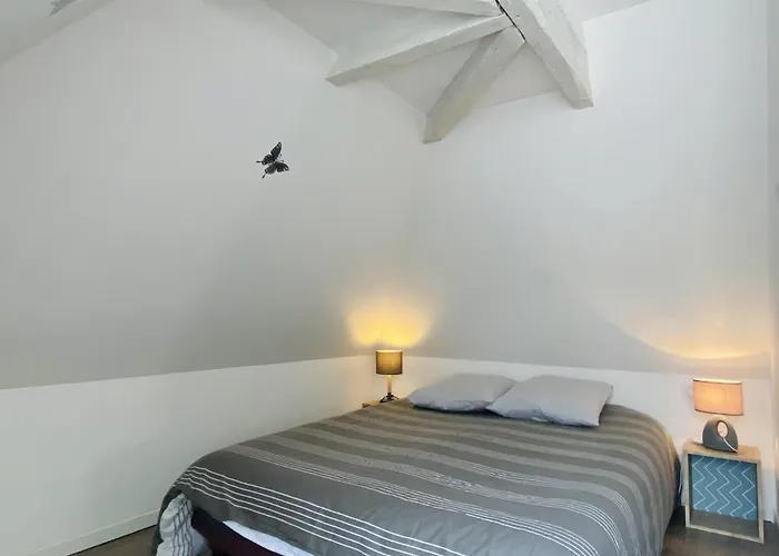 Le Cocon Ruthenois Apartment Rodez